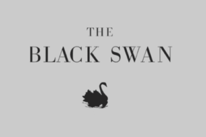 Untitled design (13)